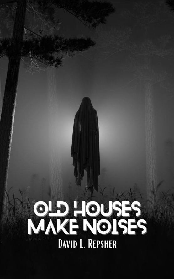 Old Houses Make Noises by David L. Repsher, published by Culture Cult.